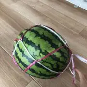 ぽん【発送に数日時間要します】の画像