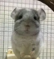 aki-chan☆の画像
