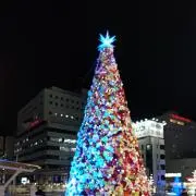 ユーカリ ミキ112の画像