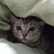 かんたん