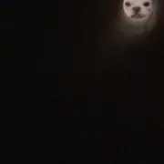 Ⓜ️