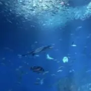 nnnmの画像