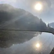 leyoの画像