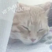 〜雛〜♡プロフ必読