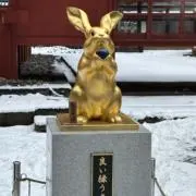 Chi-3の画像