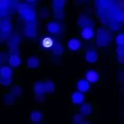 ミルの画像