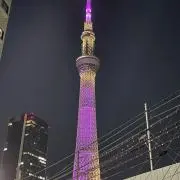 めめの画像