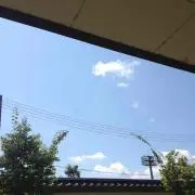 ドリ男