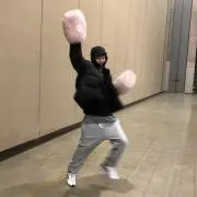 たつの画像