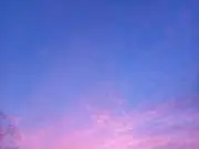 まこっちゃ