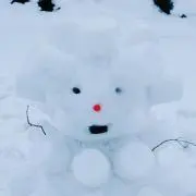 白雪姫