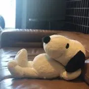 Ririの画像