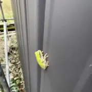 すなわち