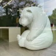 あつひの画像