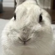 タロウ