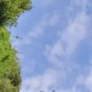slowlyの画像