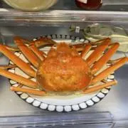 よこちんの画像