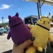 えその画像