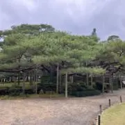 せいの画像