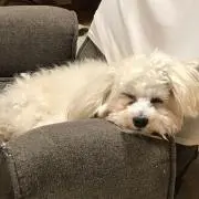 もん⭐︎プロフィールを必ず読んでくださいの画像