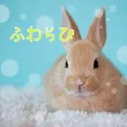 ふわらびの画像
