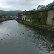 ましましの画像