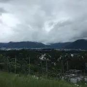 poの画像