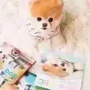 くーこ⭐️の画像