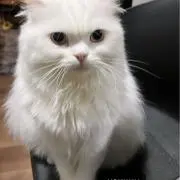 けいの画像
