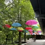 RY:)の画像