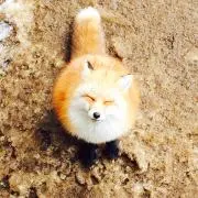 Yummyの画像
