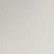 ねこの画像