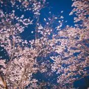 むぎの画像