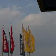 ポムの気の画像
