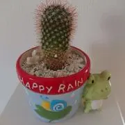 ことりんの画像