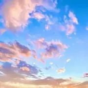 桜苺の画像