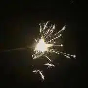 小舟の画像