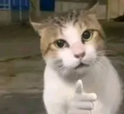 @ほの画像
