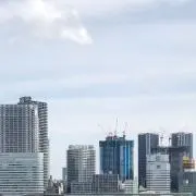 t 即購入okの画像