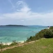 おはな＊の画像