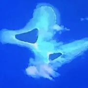 yoshiの画像