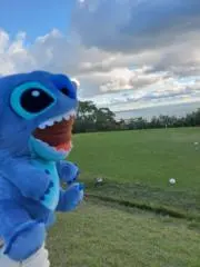 tiの画像