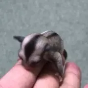oideyasuの画像