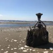 AJ23の画像