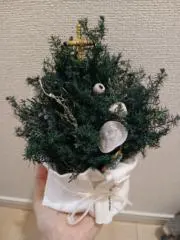s.nの画像