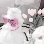 ゆいの画像