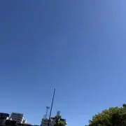 ぬんの画像