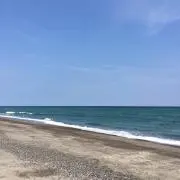 なつの画像