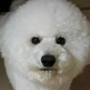 アッキー
