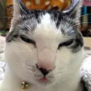 きり